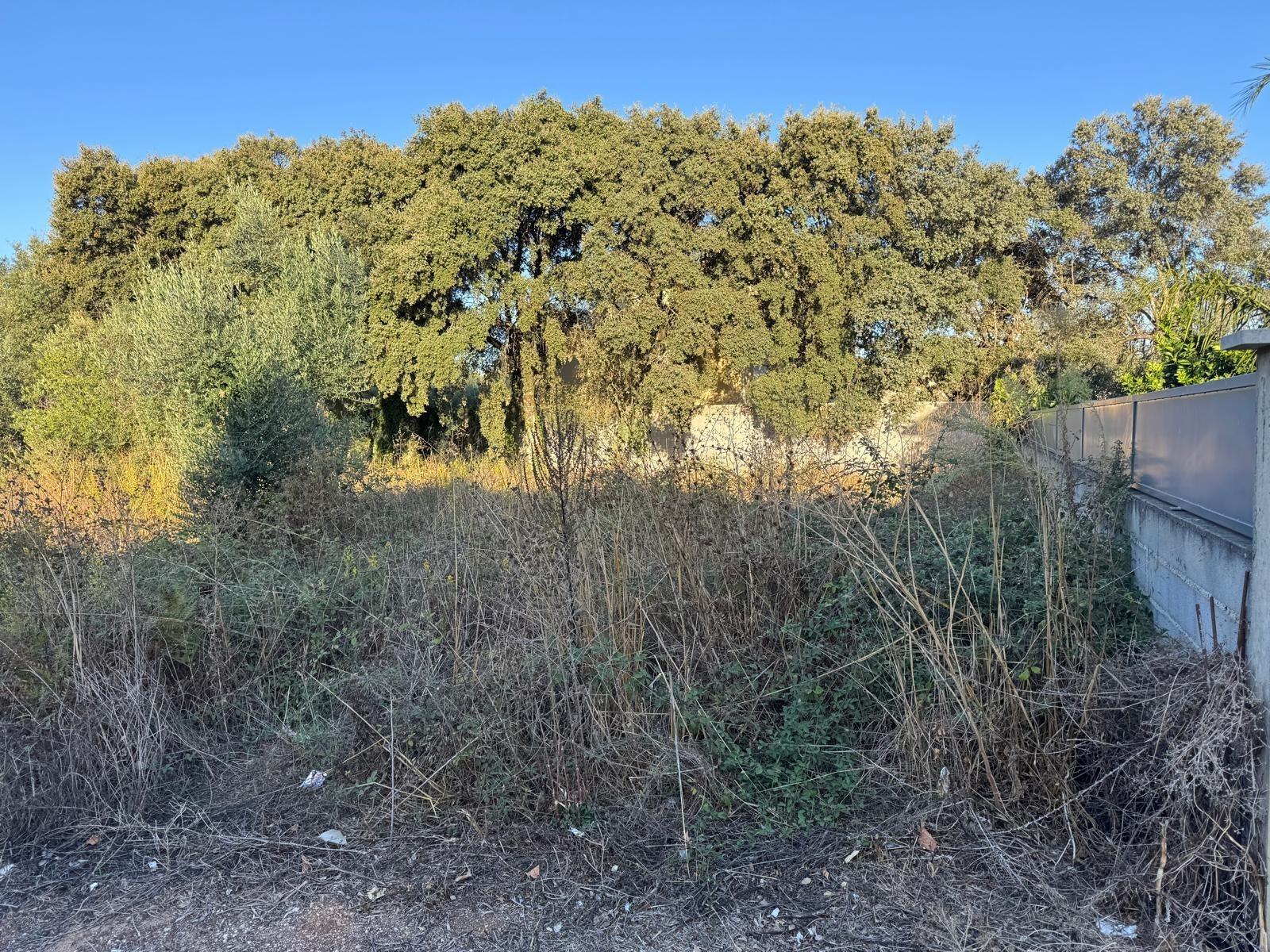Terreno urbano